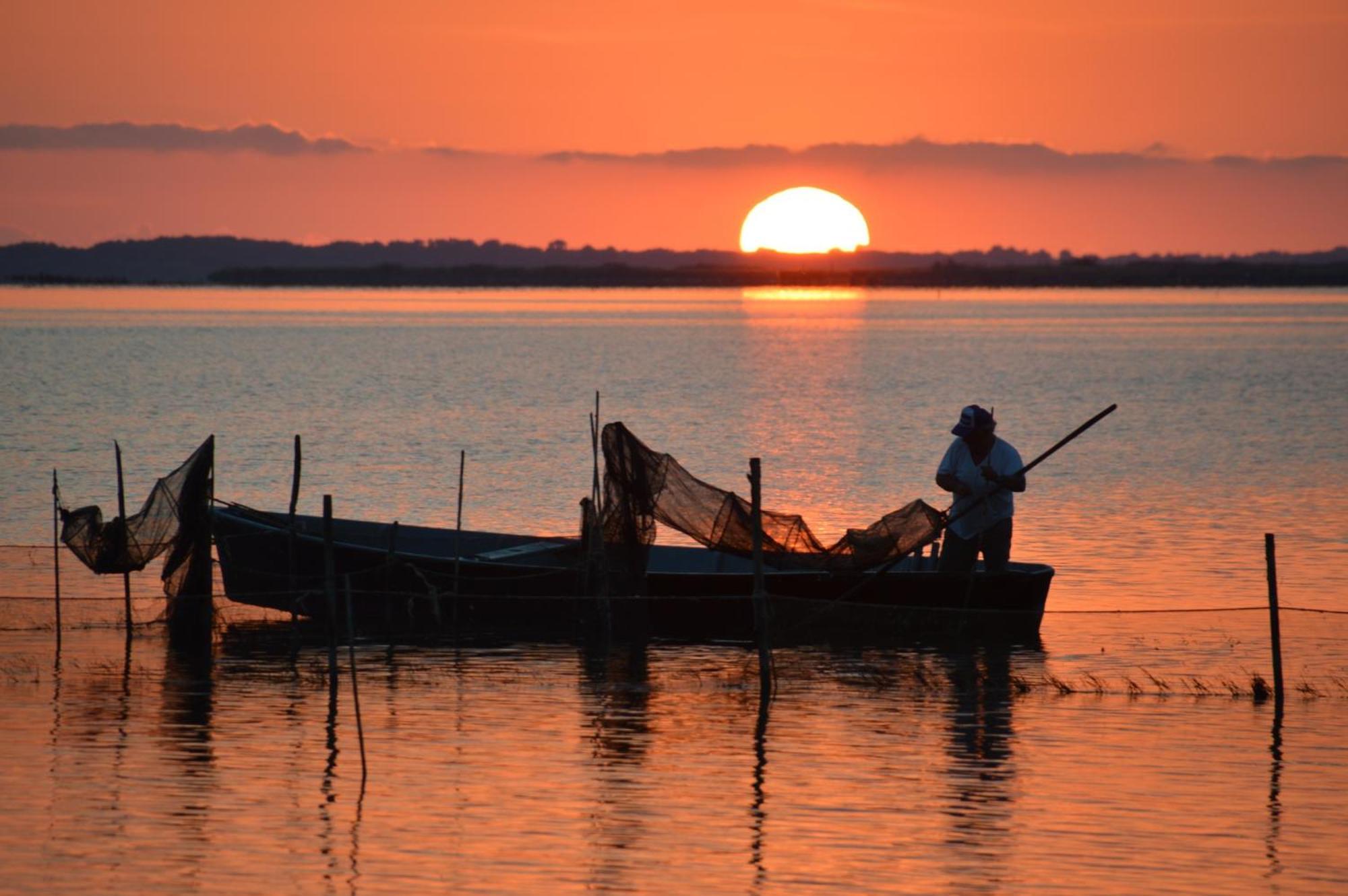 Le Stanze Di Ricci - Affittacamere Low Cost Lesina Dış mekan fotoğraf
