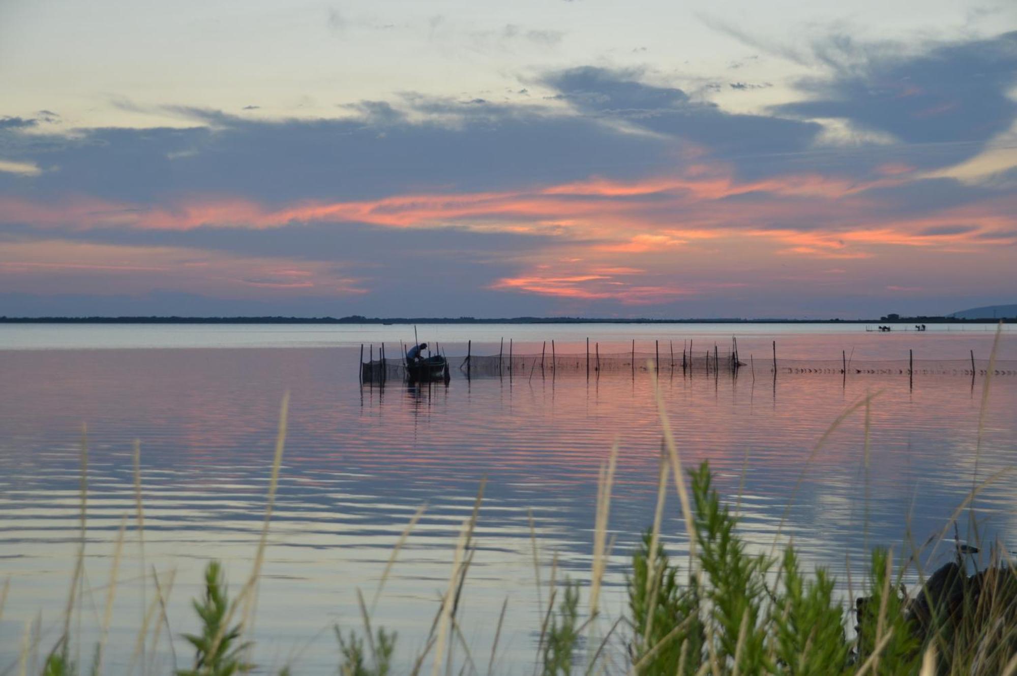 Le Stanze Di Ricci - Affittacamere Low Cost Lesina Dış mekan fotoğraf